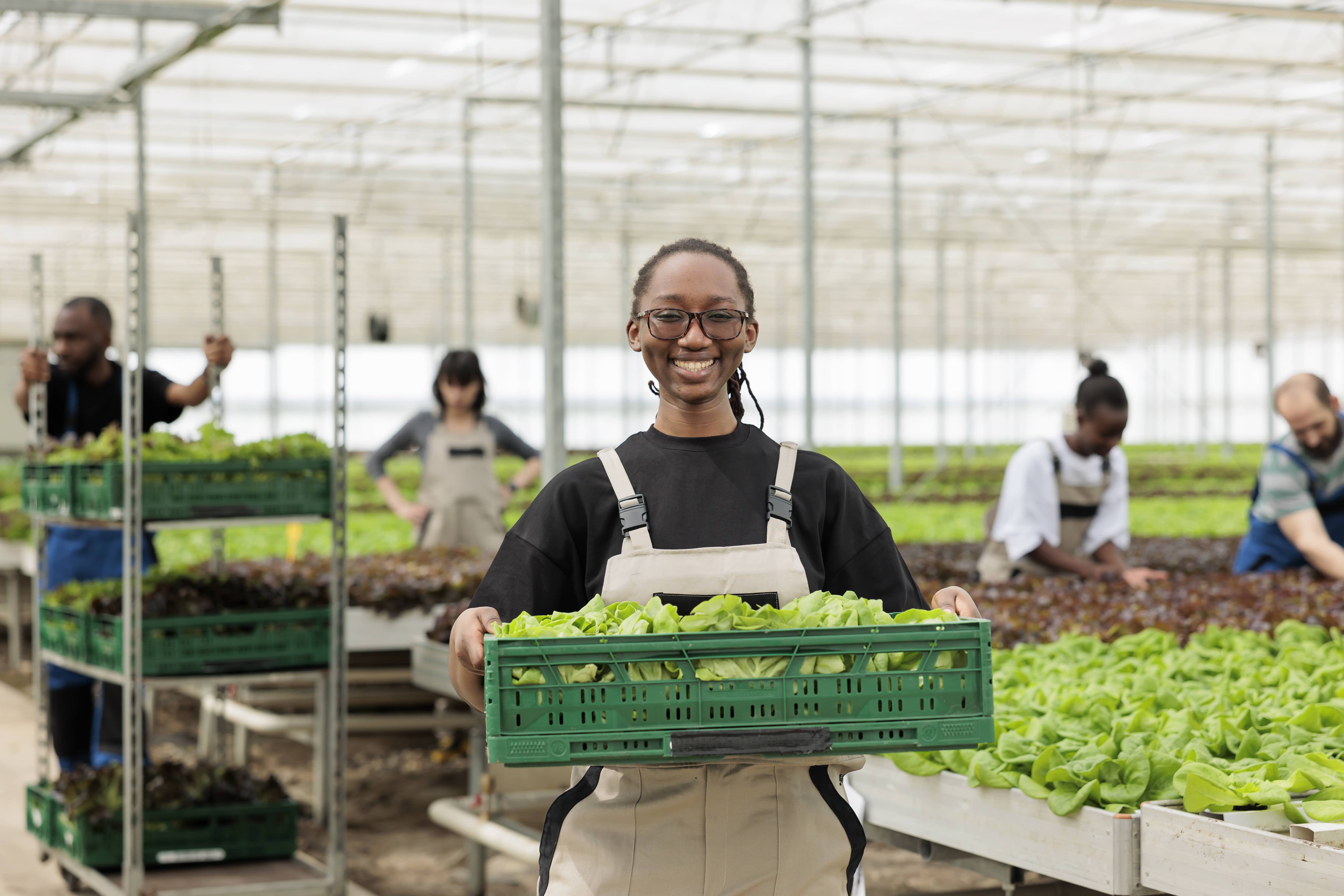 Hands harvesting fresh vegetables on a Gauteng partner farm.